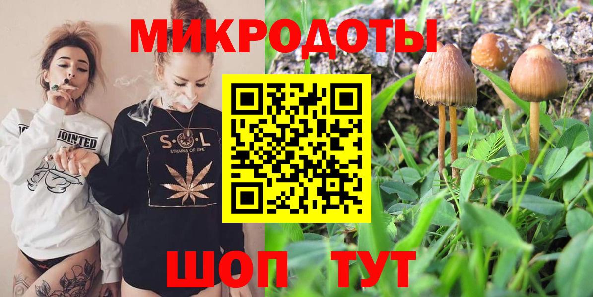 Галлюциногенные грибы Cubensis Амурск