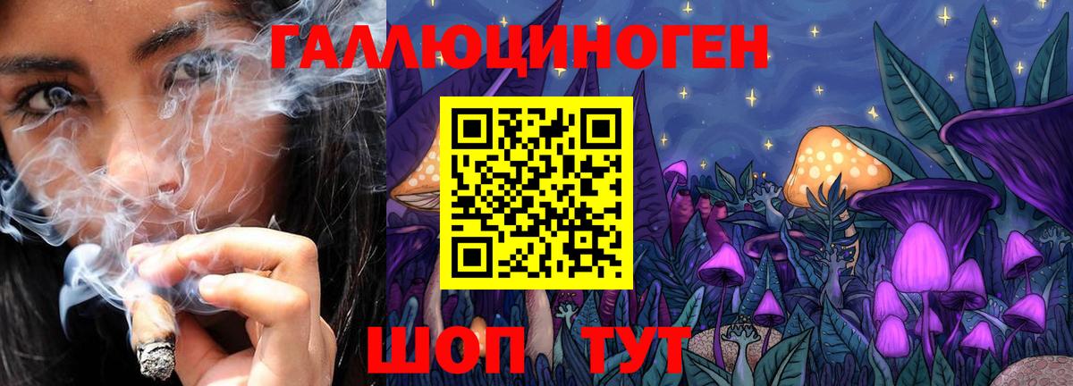 Амурск  Псилоцибиновые грибы Psilocybe  Галлюциногенные грибы прущие грибы  наркотики  Вход с VPN 